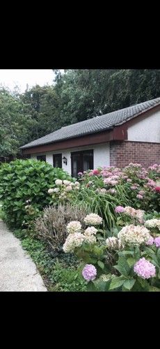 Holiday bungalow hayle - holiday,