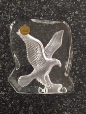 EAGLE in FLIGHT  Paperweight