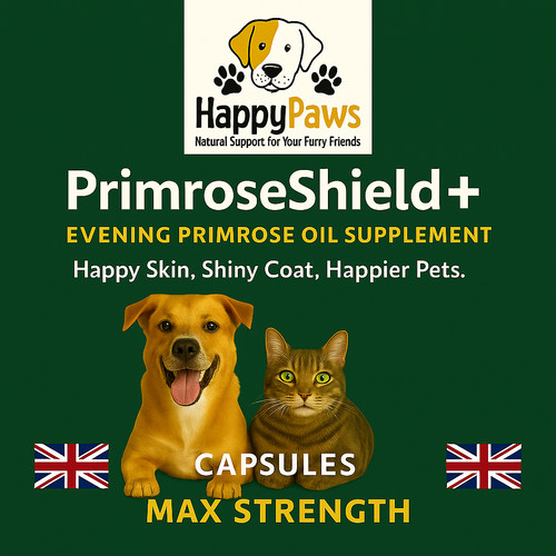 Evening primrose oil capsules - evening,