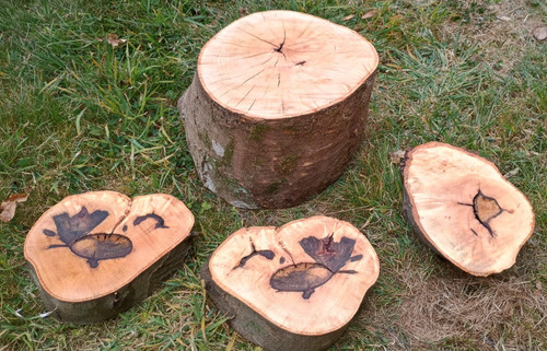 Beech wood slices centrepiece