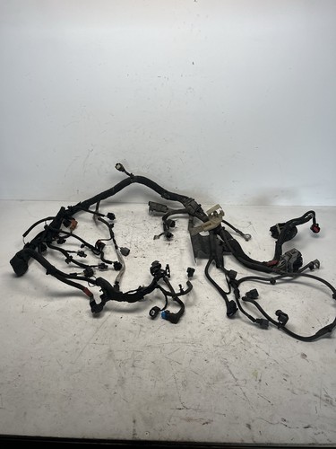 Ford fiesta mk7 engine - ford,
