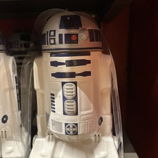 2025 Disney Parks Star Wars