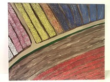 Tulip Fields Wall Art 16x20"