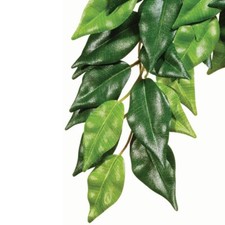 Exo Terra Silk Ficus Reptile Vivarium Decor Plastic Plants