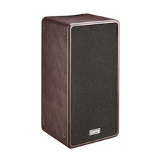 Laney duo acoustic - laney,