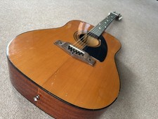 Eko Vintage 12 String Acoustic