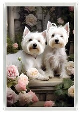 Westie west highland white - westie,