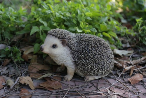 Crawling hedgehog figure - hedgehog,