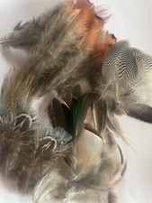 Approx 100 Assorted Game bird