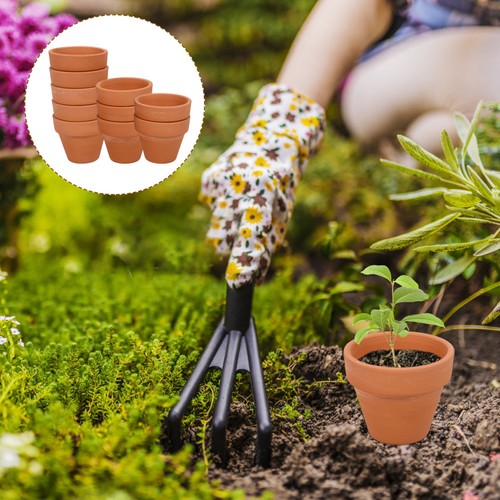 10pcs mini terracotta - 10pcs,