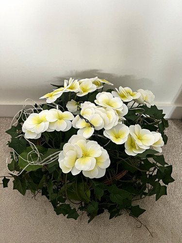 Plumeria artificial white - plumeria,