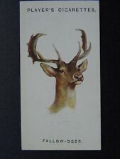 No.16 THE FALLOW DEER - DAMA DAMA Wild Animals Heads by John Player 1931
