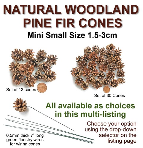 Mini small real pine - mini, fir