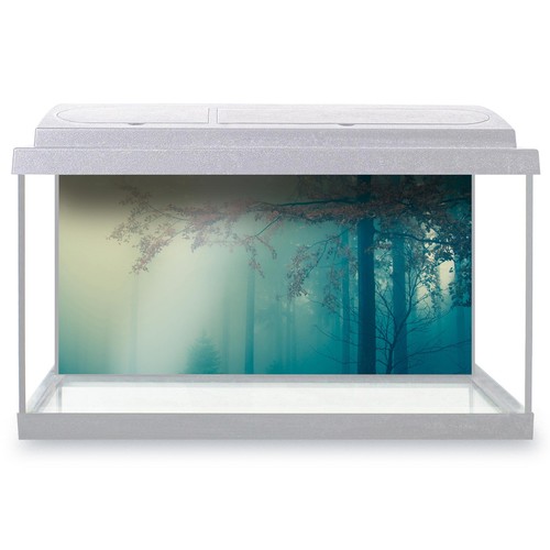 Fish tank background - tank,