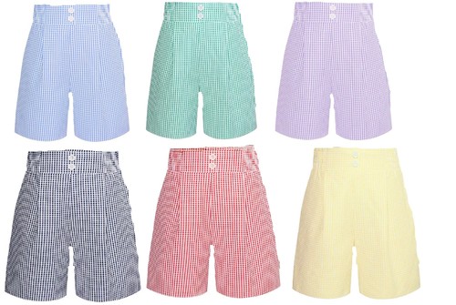 Gingham pleated school shorts - school,