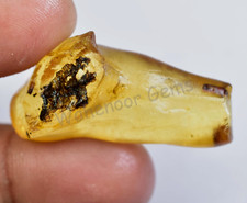 20.45 Ct Natural Tanzania