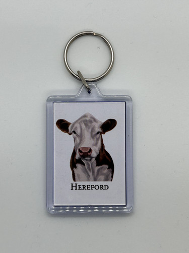 Hereford cow beef - beef, cattle