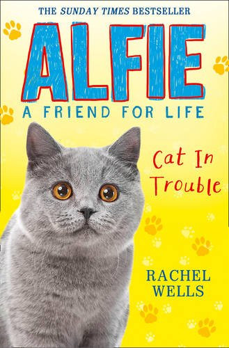 Alfie cat trouble a - alfie,