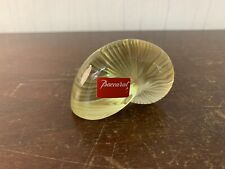 Nautilus Shell Blue Deep IN