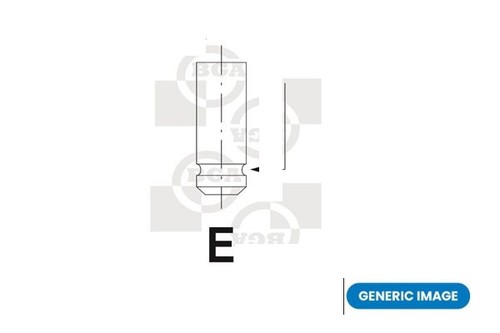Bga v029375 intake valve - v029375,