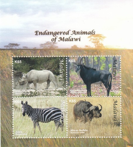 4662 malawi mnh - /,