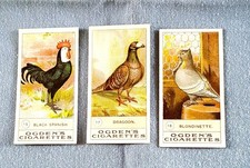 Ogden's " Fowl Pigeon & Dogs.  3 original cigarette cards Nos 15, 17 and 18