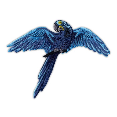 Hyacinth macaw parrot - -,