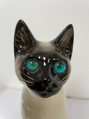 Winstanley siamese cat rare - cat,