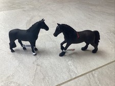 Male and Female Horses