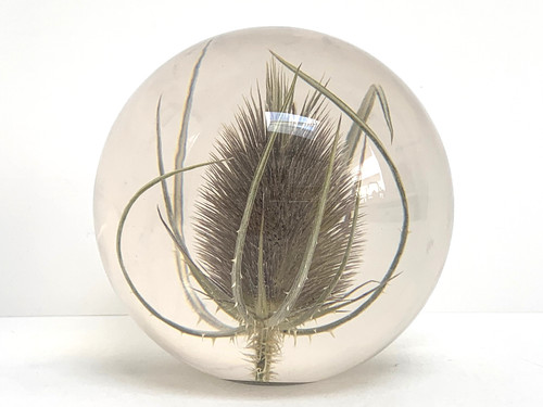 Boxed hafod grange - hafod, teasel