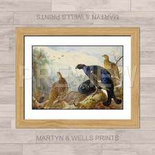 Archibald thorburn print - thorburn,