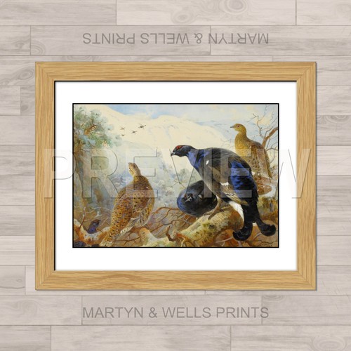 Archibald thorburn print - thorburn,