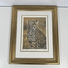 Stephen Gayford Cheetah Sunset Art Print Limited Edition Gold Frame COA