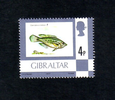 Gibraltar 1977 Grey Wrasse fish single value (SG 379) MNH