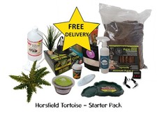 Horsfield Tortoise Starter Kit