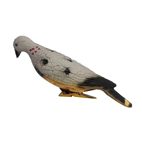 Pigeon decoy shell decoying - decoying, 3d