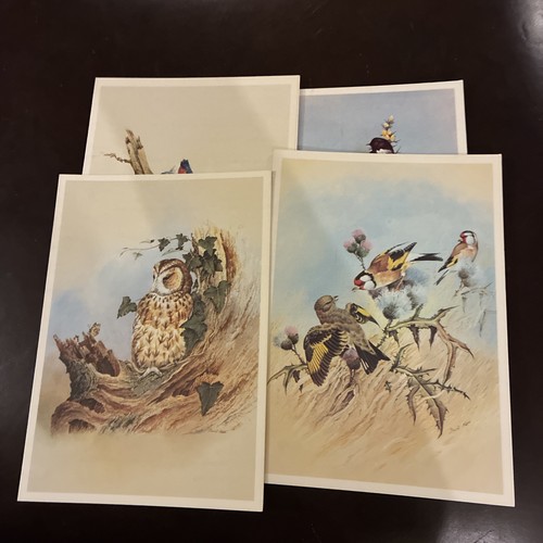 Merchant navy ephemera - , p&o