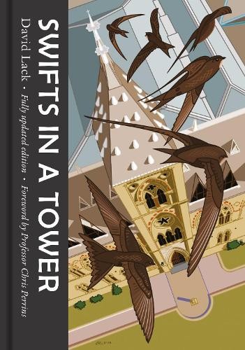 Swifts tower by - swifts, in