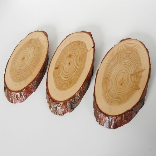 Larch signs trophy deer - trophy,