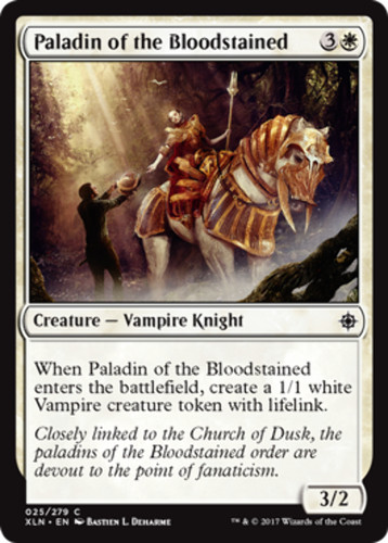 Paladin the bloodstained - bloodstained,