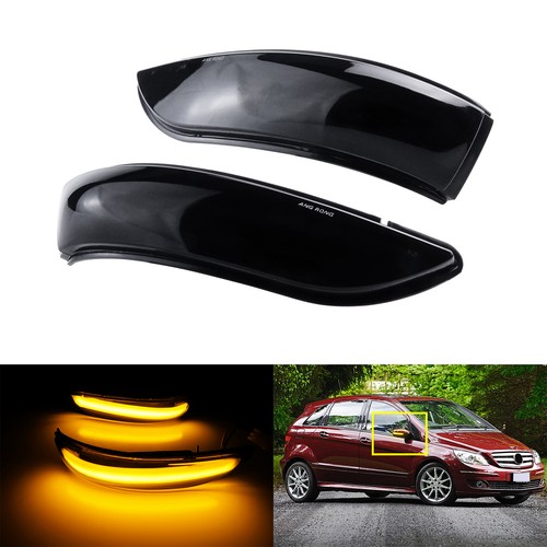 Dynamic led wing mirror - wing,