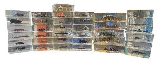Late 20th century collection - 20th,