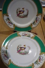 MYOTT CHELSEA BIRD 6 X 9 7/8