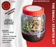 enclosure spiderling tarantula