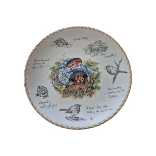 The robin wedgwood - robin, 8"