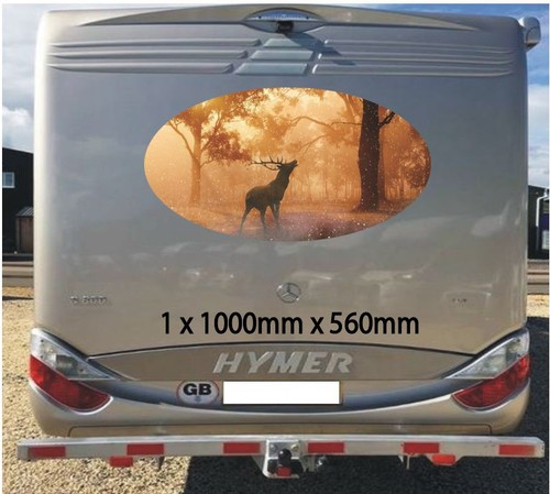 Fallow deer 1000mm graphics - deer,