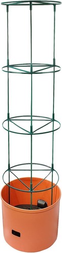 Self watering jumbo growing - self-watering,
