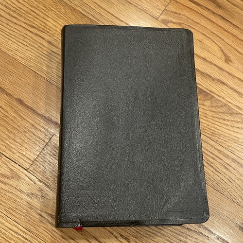 Niv zondervan study bible - niv,