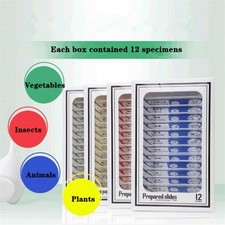 48Pcs Microscope Prepared