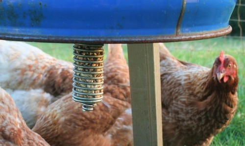 Spiral spring feeder - spring,